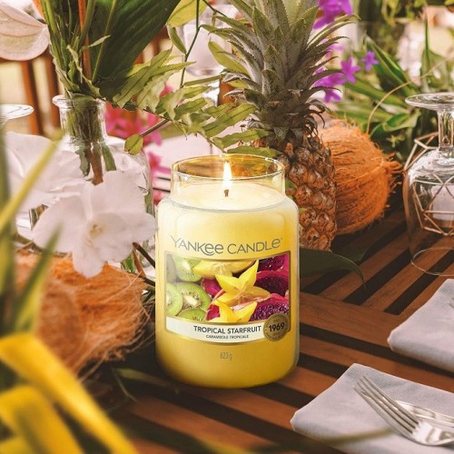 Candele profumate Candela profumata giara grande tropical starfruit fino a 150 ore