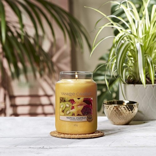 Candele profumate Candela profumata giara grande tropical starfruit fino a 150 ore