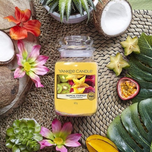 Candele profumate Candela profumata giara grande tropical starfruit fino a 150 ore