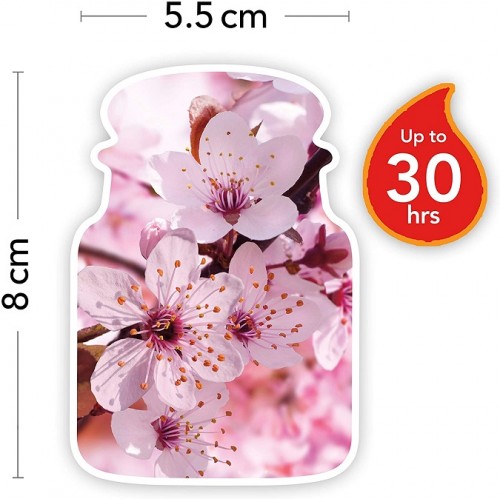 Candele profumate Candela profumata giara piccola cherry blossom fino a 30 ore