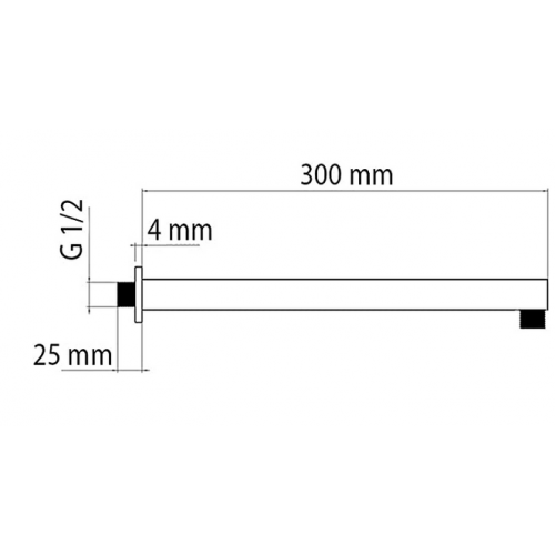 Rubinetteria Braccio doccia a parete in acciaio cromato 30 cm