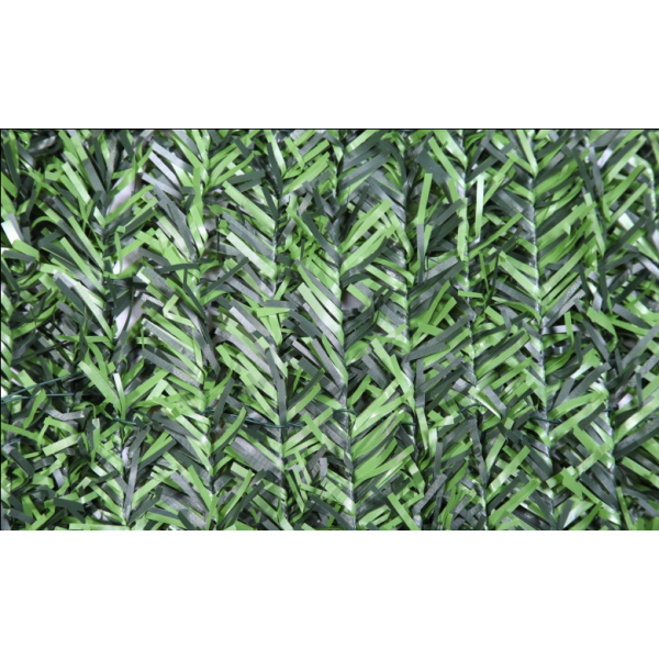 Accessori per esterni Siepe arelle ombreggiante abete