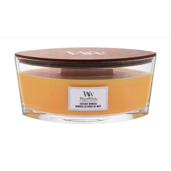 Candela woodwick ellipse...