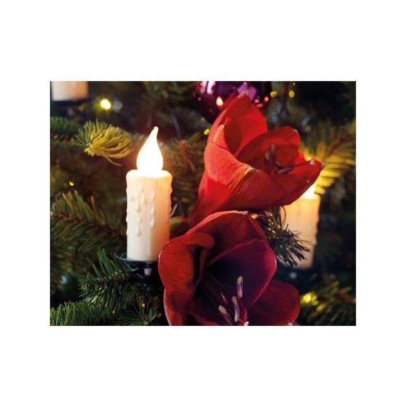 Luci natalizie Lumineo Candela LED L.1160 cm 30 candele grandi Verde/Classico