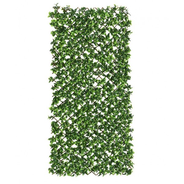 Traliccio Con Pianta...