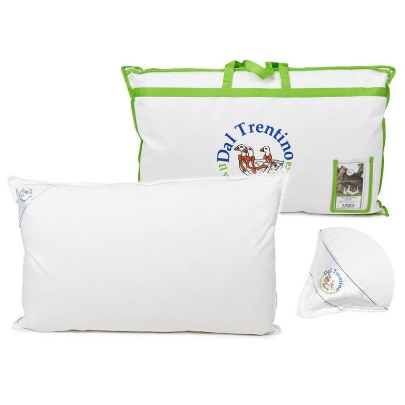 Biancheria Guanciale piuma cortina 50x80 50 piumino- 50 piumette Biancheria Guanciale piuma cortina 50x80 50 piumino- 50 piumette