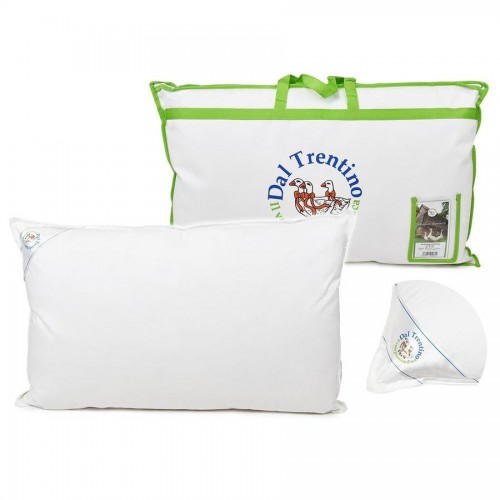 Biancheria Guanciale piuma cortina 50x80 50 piumino- 50 piumette