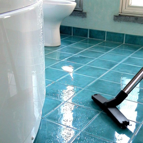 Pulizia stufe camini Aspirapolvere aspirapolveri aspira liquidi cenere freddy lavorwash aspiracenere