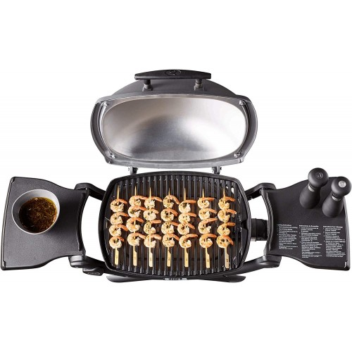 Barbecue a gas Barbecue Q2200 gas grill 54010029