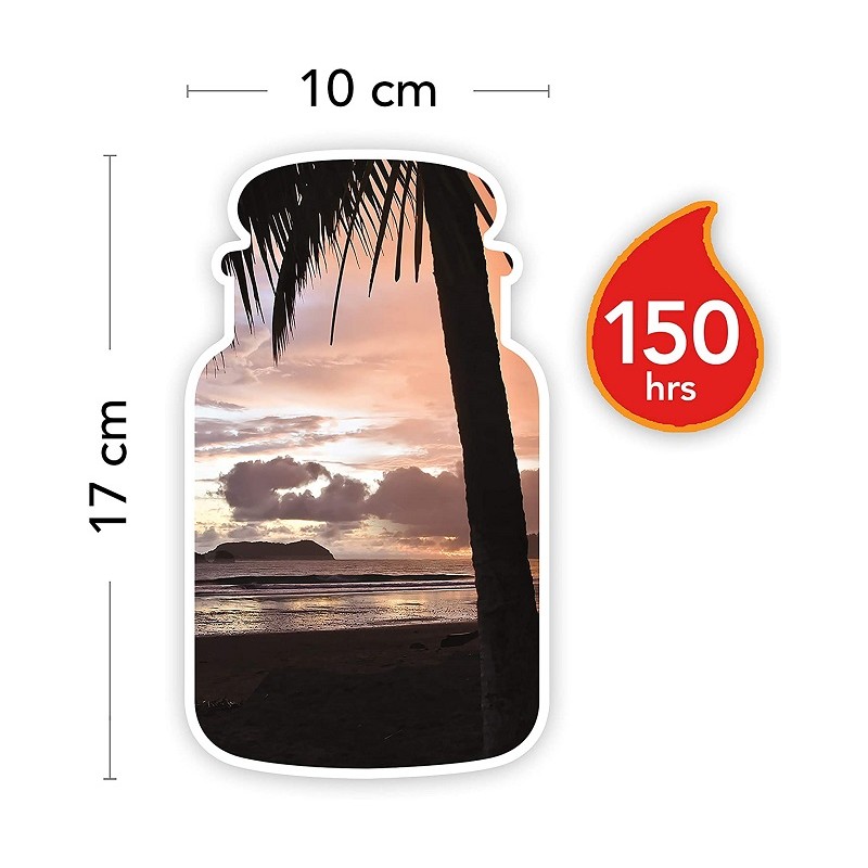 Complementi d arredo Candela profumata giara grande noce di cocco nera durata fino a 150 ore