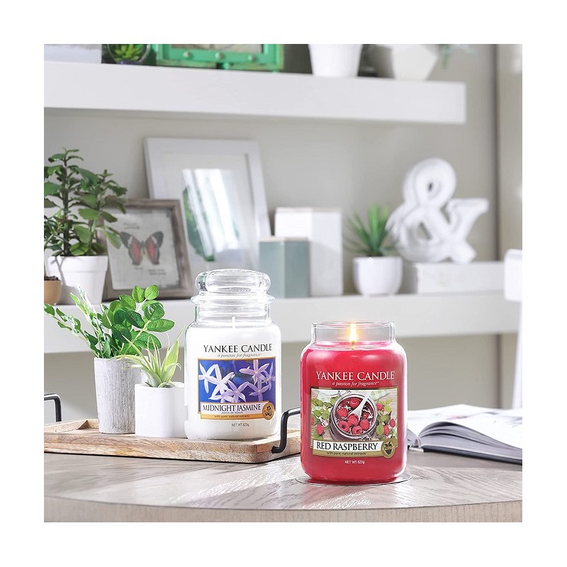 Complementi d arredo Candela profumata giara grande gelsomino notturno durata fino a 150 ore