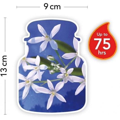 Candele profumate Candela profumata giara media midnnight jasmine fino a 75 ore