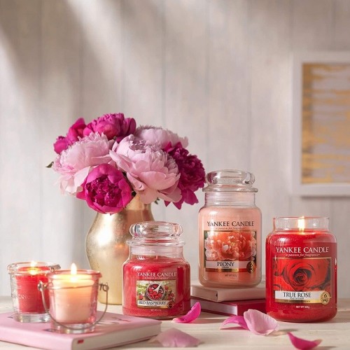 Candele profumate Candela profumata giara media red raspberry fino a 75 ore