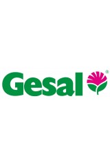 Gesal